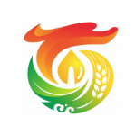 深圳市创森信息科技有限公司